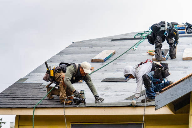 Professional Storm Damage Roof Repair technician working in Iola, WI